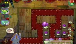 闪电芦苇最新爆料