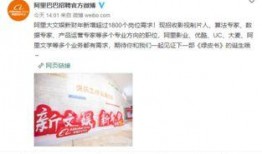 阿里巴巴最新爆料,创新举措与行业变革前瞻