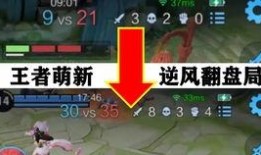 姐姐王者爆料视频大全集,视频大全集深度解析