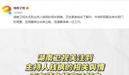 娱乐圈的吃瓜文件,揭秘明星幕后故事与恩怨情仇