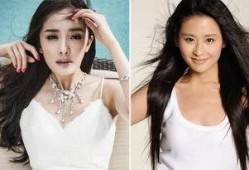 杨幂最新消息爆料事件,揭秘娱乐圈背后的惊人真相