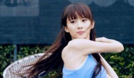 王麟最新爆料视频大全播放,揭秘幕后故事与精彩瞬间