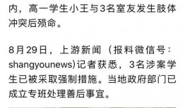 湖北最新爆料消息视频,揭秘神秘视频背后的惊人真相