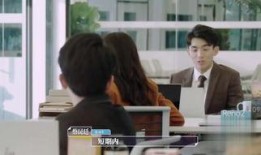 新手律师在线观看,从入门到精通