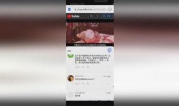 咸鱼小汉堡爆料视频大全,揭秘幕后故事与精彩瞬间