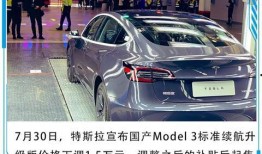 最新款特斯拉爆料视频下载,颠覆性设计与性能革新揭秘