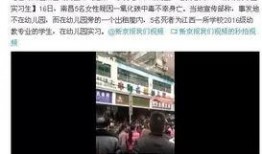 爆料南昌网红事件视频,真相与争议交织的幕后故事