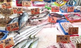 大国海鲜爆料是真的吗视频,真相揭秘还是网络谣言？