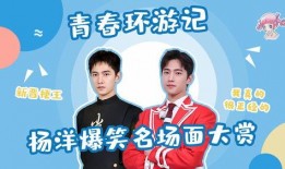 杨洋搞笑爆料视频,笑料连连，揭秘明星幕后趣事