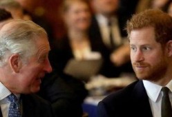 哈里最新消息爆料新闻,王室内部惊人真相大揭秘