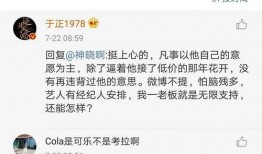 娱乐圈的吃瓜文件,揭秘明星幕后故事与恩怨情仇