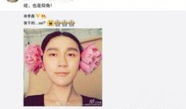 娱乐圈爆料图片素材