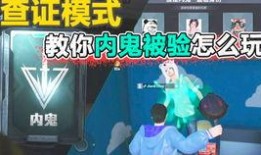 流浪者内鬼爆料视频大全,揭秘真实幕后真相