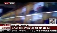 今日郑州最新爆料新闻网,揭秘城市热点事件背后的真相