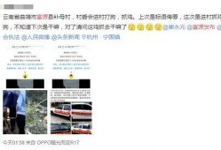 爆料网友被抓视频,揭秘网络爆料背后的真相与困境