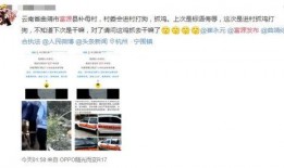 爆料网友被抓视频,揭秘网络爆料背后的真相与困境