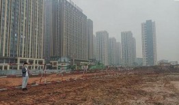 汕头龙湖区爆料新闻最新,最新进展及影响揭秘