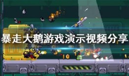 爆料大鹅解说视频全集