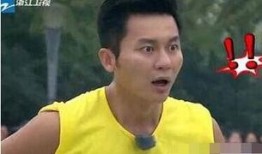 李晨爆料视频大全集最新,揭秘娱乐圈幕后真相