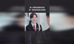 新手律师在线观看,从入门到精通