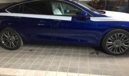 红旗最新汽车爆料,豪华配置与科技感并存，引领未来出行潮流”