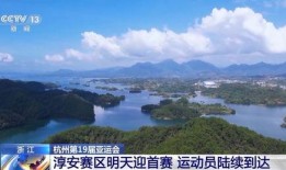 淳安负面新闻爆料最新情况,事件调查与影响分析