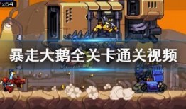 爆料大鹅解说视频全集