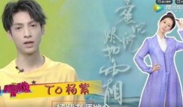 大锤爆料杨紫视频在线观看,独家揭秘幕后花絮，精彩瞬间不容错过
