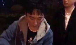 王思聪生活爆料视频,奢华日常与娱乐狂欢