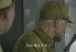 在线观看狼牙英雄,热血激战，捍卫家园的传奇征程