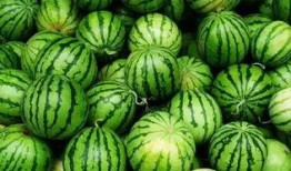 最新吃瓜群免费