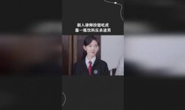 新手律师在线观看,从入门到精通