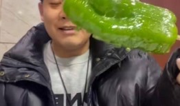 即墨吃瓜网红事件视频,一场网络舆论的风暴与反思