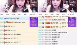 东北主播爆料视频播放,爆款视频背后的幕后故事