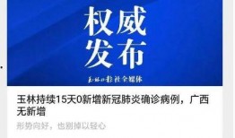 今日爆料玉林新闻最新消息,揭秘今日重大新闻事件