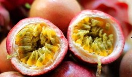 吃百万网红硬核软莓的瓜,吃瓜群众见证舌尖上的奇迹