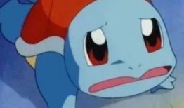 杰尼龟娱乐大爆料,揭秘娱乐圈不为人知的秘密与内幕