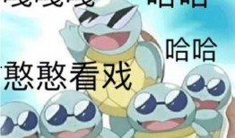 杰尼龟娱乐大爆料,揭秘娱乐圈不为人知的秘密与内幕