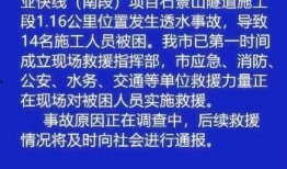 泰安核酸爆料事件真相最新,真相与反思