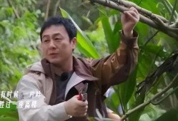 张颂文爆料娱乐圈视频大全,视频大全大揭秘