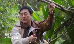 张颂文爆料娱乐圈视频大全,视频大全大揭秘