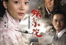 电视剧铁梨花在线观看,传奇女侠的烽火岁月