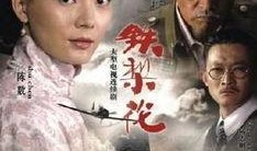 电视剧铁梨花在线观看,传奇女侠的烽火岁月