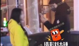 刘大锤爆料张小斐视频,揭秘娱乐圈背后的故事