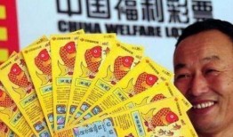 彩票疑云的爆料视频大全,视频大全揭露惊人内幕