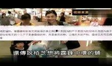 明星爆料生子视频合集下载,独家爆料视频合集下载