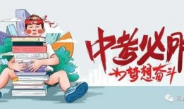 cs2饰品最新爆料消息,神秘新品即将亮相，揭秘最新游戏周边潮流趋势