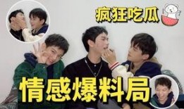 恋情爆料模板视频大全,视频大全带你领略明星情感世界