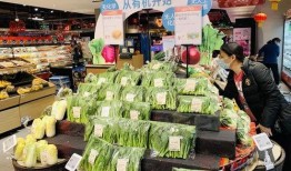 广州早餐店爆料案件最新,揭开食品安全背后的惊人真相