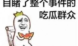 吃瓜群众竟是主角小说免费阅读,意外成为小说主角的奇幻旅程